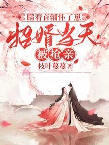 招婿当天被抢亲(完结)
