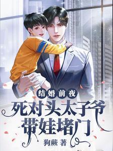 结婚前夜死对头太子爷带娃堵门