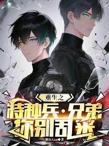 重生兄弟军文推荐