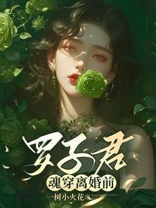 罗子君魂穿离婚前百度