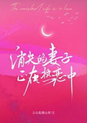 消失的妻子正在热恋中百度