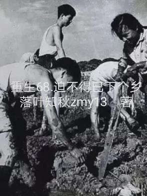 迫不得已下个乡主角洛城