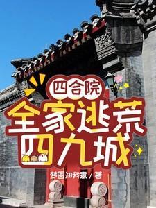 四合院全家逃荒四九城作者梦圆知我意