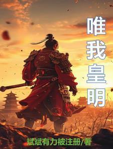 明朝朱慈烺穿越