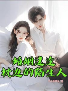 枕边陌生人免费阅读