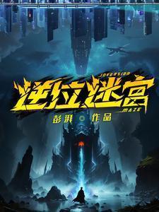 逆位迷宫主角有几个道