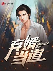 弃婿当道叶辰免费阅读全文