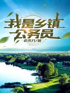 我是乡镇公务员TXT