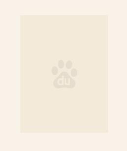 绝世炼丹师纨绔九小姐免费阅读