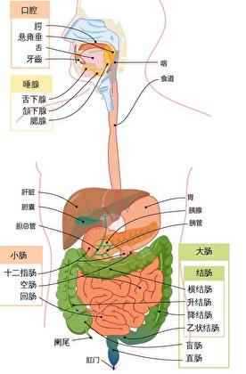 原来我不是个神经病
