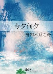 今夕何夕剧情介绍