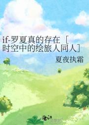 时空中的绘旅人罗夏台词