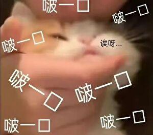 图南股份a股股东户数增加