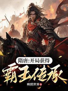 穿越隋唐之霸王传承