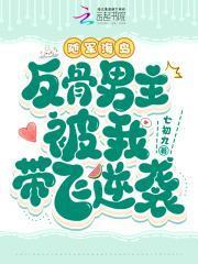 海岛随军的年代文