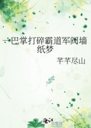 一巴掌打入豪门是什么电视剧