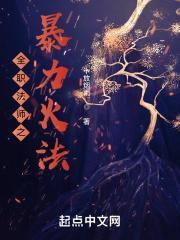 全职法师觉醒
