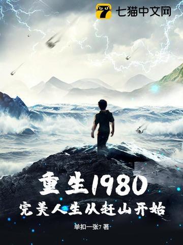 重生2008完美人生