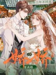 结婚三年不回家?七零娇娇要离婚在线阅读免费