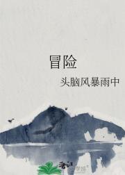 冒险大作战破解版内置菜单