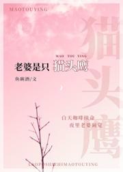 傲娇老婆是只猫头鹰