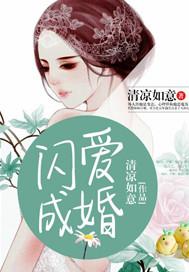 闪爱成婚 石榴小姐