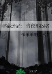 暗夜追凶剧情介绍