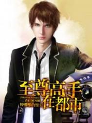 至尊高手在都市叶锋