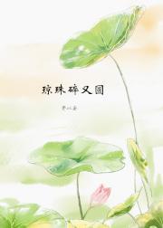 琼珠碎圆by千帆狂舞txt