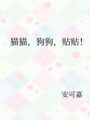 猫猫狗狗贴图