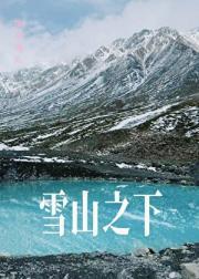 雪山之下皆是牛马