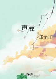 声曼音响属于什么档次