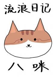流浪猫日记