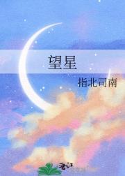望星空歌曲原唱董文华