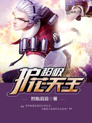 超级护花天王免费