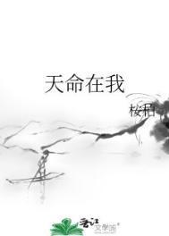 天命在我桉柏无防盗txt
