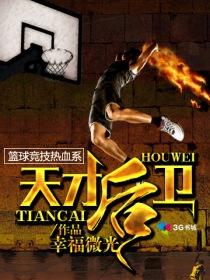 天才后卫TXT电子书