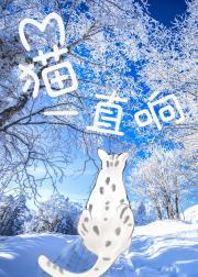 猫一直响的梗的出处和背景故事