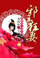 惊世第一杀手妃邪王狂妃