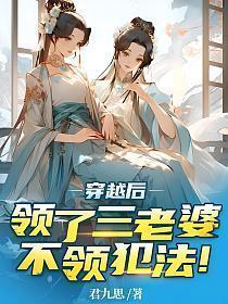 穿越后娶了很多老婆的