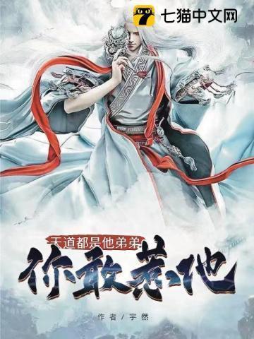 混沌天印的简介