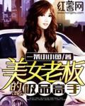 美女老板的极品高手TXT