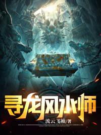 寻龙风水师为什么烂尾