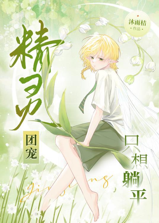 精灵团宠小千金原著