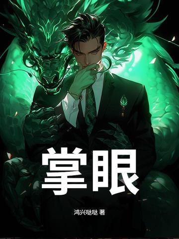 掌眼1-46集全免费