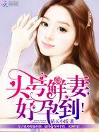 头号鲜妻休想逃全文免费阅读