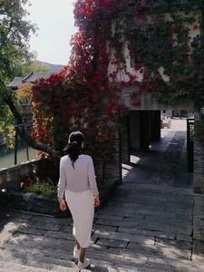 我在仕途斩群龙 天师府的穆哈