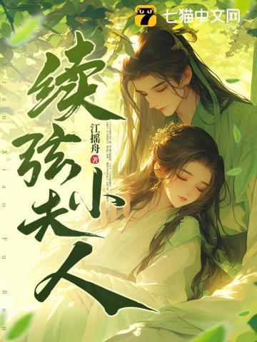 续弦小夫人短剧免费观看