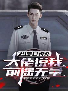 29岁白衬衫大佬说我前途无量动画