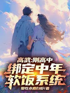 绑定中年软饭系统完整